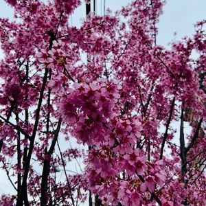 Meet your Posher, Lucia